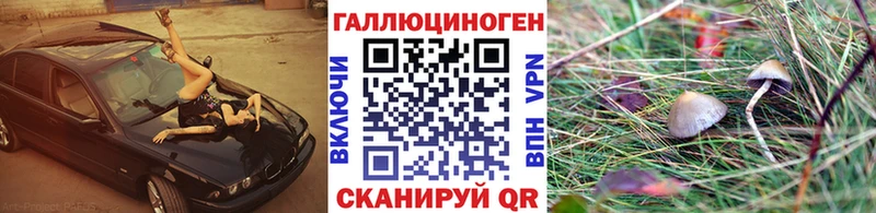 Псилоцибиновые грибы ЛСД  OMG вход  Кондопога 