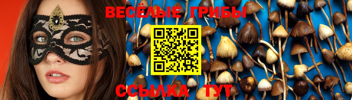 Галлюциногенные грибы Cubensis  Галлюциногенные грибы GOLDEN TEACHER  Кондопога  купить закладку  Вход с VPN 